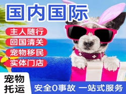 宝安航空运输国际宠物托运 【国